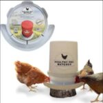 Why Should You Consider Building Your Own DIY Chicken Waterer Today?