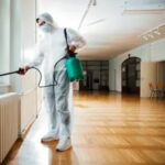 How Mice Extermination Tracks Rodents Moving Across Connected Spaces?