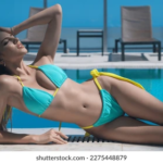 The Landscape of Adult Entertainment in Goa: A Closer Look