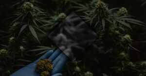 That’s Doap Is Redefining Premium Cannabis Culture in Vancouver 1 That’s Doap Is Redefining Premium Cannabis Culture in Vancouver
