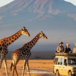kilitrips tanzania personalized adventure travel safari tours.jpg