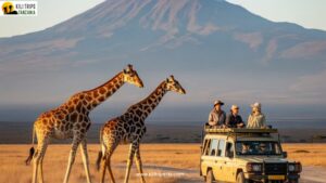 Premier Tours and Safari in Tanzania: Ultimate Tanzania Tours and Safaris Guide