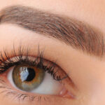 bg 07 800x534 1