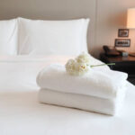 Affordable Hotels in Chandigarh & Budget Hotels in Chandigarh – Experience Comfort at Mango Grove Hotel