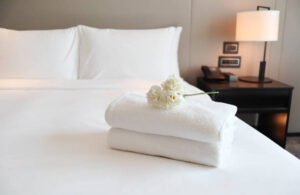 Affordable Hotels in Chandigarh & Budget Hotels in Chandigarh – Experience Comfort at Mango Grove Hotel
