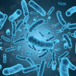Probiotic Contract Manufacturer – Your Trusted Partner for Quality Probiotic Solutions