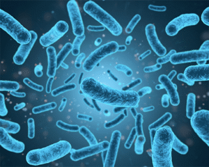Probiotic Contract Manufacturer – Your Trusted Partner for Quality Probiotic Solutions 1 Probiotic Contract Manufacturer – Your Trusted Partner for Quality Probiotic Solutions