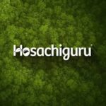 Hosachiguru Farm Land For Sale Kanakapura Road – Dhaanvi Farms: A Sustainable Gateway to Smart Investment and Green Living