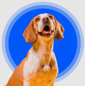 Professional Dog Poop Pickup in DFW for a Cleaner, Safer Yard 1 Professional Dog Poop Pickup in DFW for a Cleaner, Safer Yard