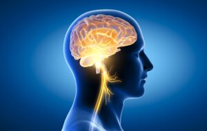 Early Signs of Parkinson's Disease Most People Ignore (And When to See a Doctor) 1 Early Signs of Parkinson’s Disease Most People Ignore (And When to See a Doctor)