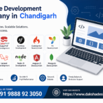 website development company in chandigarh