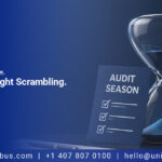 Employee Benefit Plan EBP Audits