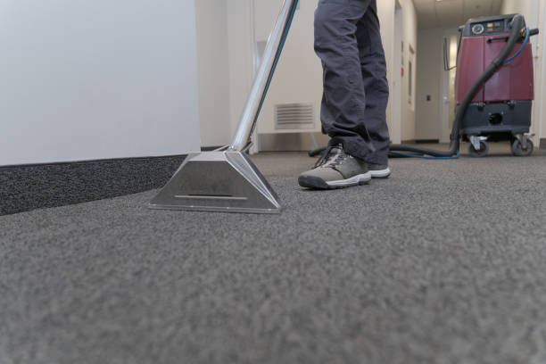 istockphoto 2117962045 612x612 1