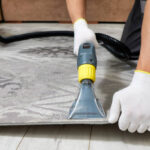 10 Reasons to Choose Professional Carpet Cleaning Services Sheffield Homeowners Trust
