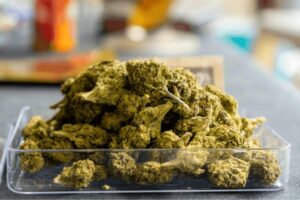 Cheap Weed Delivery Toronto: Save More Today 1 Cheap Weed Delivery Toronto: Save More Today