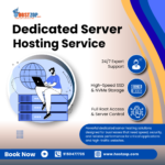 Effective Budget Planning With Hostzop Dedicated Server Pricing In India.