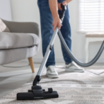 Struggling With Ants, Spiders, or Rodents in Carlton? 3 Struggling With Ants, Spiders, or Rodents in Carlton?