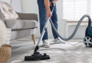 Struggling With Ants, Spiders, or Rodents in Carlton? 1 Struggling With Ants, Spiders, or Rodents in Carlton?