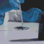 Medical Innovation Driven by Drug Discovery and Experimental Approaches