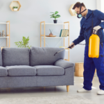 Need Affordable Pest Control Princes Hill for a Serious Pest Problem?