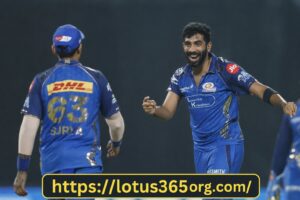 Complete Lotus 365 Betting Guide for Beginners