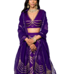 Silk Brocade Lehenga: A Complete Guide to Timeless Indian Elegance