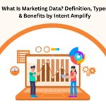 What Is Marketing Data? Definition, Types & Benefits by Intent Amplify