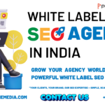 White Label SEO Agency in India for Long-Term SEO Success and Agency Expansion