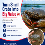 May 26 POST
