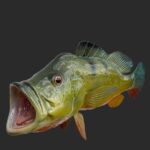 Premium Fish Replica and Fish Mount Services for Every Angler 3 Premium Fish Replica and Fish Mount Services for Every Angler