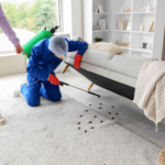 Looking for Safe Pest Control Services in St Kilda for Your Family? 3 Looking for Safe Pest Control Services in St Kilda for Your Family?