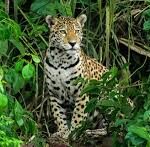 images 2 3