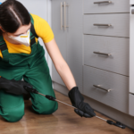 pest control 4