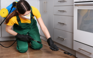 Need Fast Pest Control Services in Mernda Today?