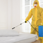 pest control 6
