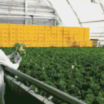 Resilient Food Supply Chains Beyond Agricultural Production