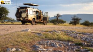 Tanzania Safari Cost: The Ultimate Budgeting Guide for Your Dream Adventure