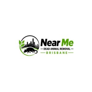 Why Professional Dead Animal Removal Is Safer Than DIY Methods 1 Why Professional Dead Animal Removal Is Safer Than DIY Methods