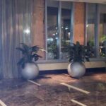 Can Frameless Glass Partitions Improve Space, Natural Light, and Property Value?
