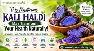 This Mysterious Kali Haldi May Transform Your Health Naturally