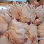 Global Wholesale Halal Frozen Whole Chicken & Chicken Breast Solutions by Aurora Alimentos