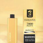 PANDORA 7000 600x784 1