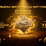 A Complete Guide to Nagaur, Ahmedabad, Navi Mumbai, and Hyderabad Matka Archives 3 A Complete Guide to Nagaur, Ahmedabad, Navi Mumbai, and Hyderabad Matka Archives