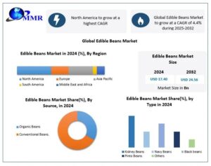 Edible Beans Market Outlook 2025–2032: Sustainable Nutrition Trends Drive Industry Expansion 1 Edible Beans Market Outlook 2025–2032: Sustainable Nutrition Trends Drive Industry Expansion