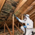 Attic Mold Removal Ottawa Protect Your Home Today