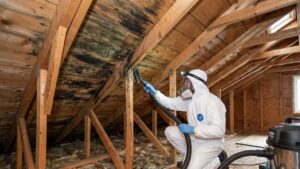 Attic Mold Removal Ottawa Protect Your Home Today