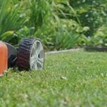 Garden Maintenance South Coogee – Professional Care for Beautiful Outdoor Spaces