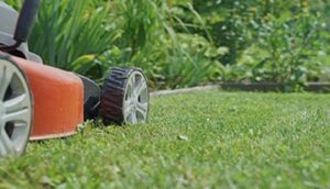 Garden Maintenance South Coogee – Professional Care for Beautiful Outdoor Spaces
