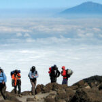 Kilimanjaro Routes: A Complete Guide to Choosing the Best Path to Africa’s Highest Peak