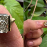 What Makes Certain Diamond Shapes Stand Out